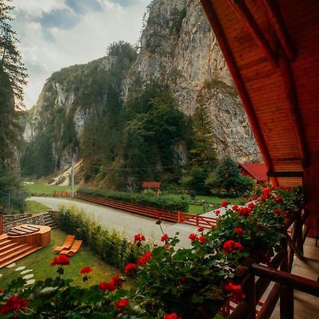 Casa Cheile Dambovicioarei - Cabana 2 Dîmbovicioara المظهر الخارجي الصورة