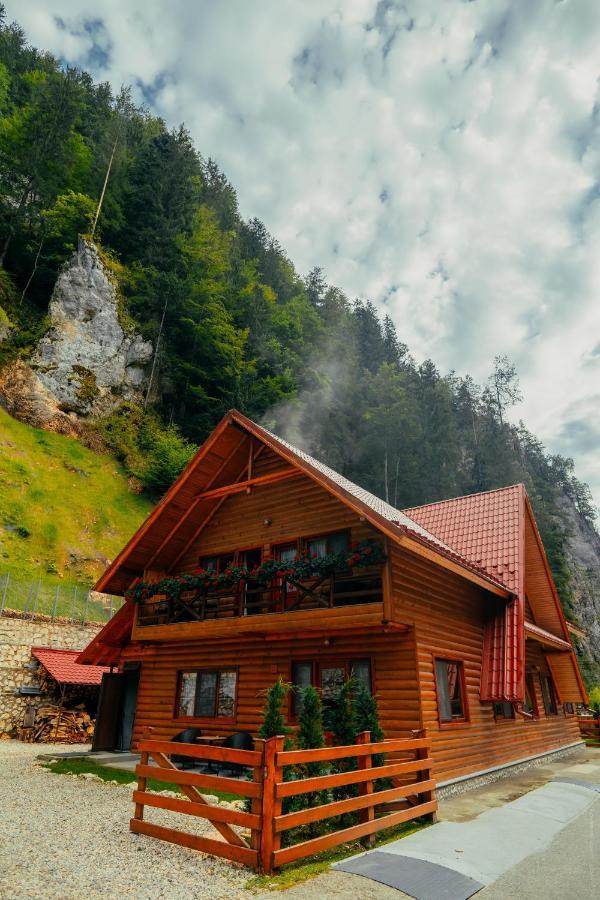 Casa Cheile Dambovicioarei - Cabana 2 Dîmbovicioara المظهر الخارجي الصورة
